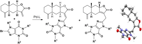 Synthesis of a new class of bisheterocycles via the Heck reaction of eudesmane type methylene lactones with 8-bromoxanthines