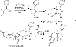 Asymmetric total synthesis of (−)-perforanoid A