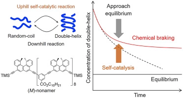 Chemical braking exhibited by ethynylhelicene (M)-nonamer in solution: Competitive reaction system of self-catalysis to form double-helix and approach towards equilibrium to form random-coil