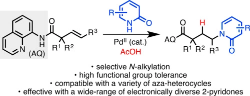 N-alkylation of 2-pyridone derivatives via palladium(II)-catalyzed directed alkene hydroamination