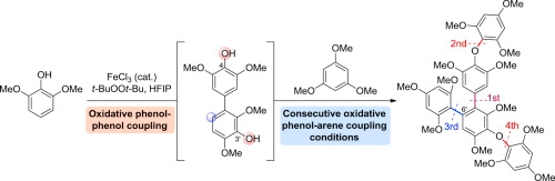 Iron-catalyzed selective oxidative arylation of phenols and biphenols