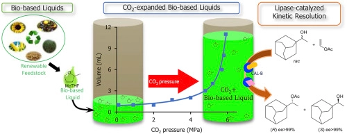 CO2-expanded bio-based liquids as novel solvents for enantioselective biocatalysis