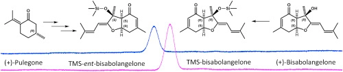 Total synthesis of TMS-ent-bisabolangelone