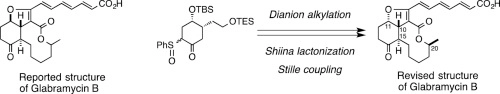 First total synthesis of glabramycin B and revision of its relative configuration