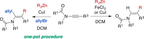 Iron(II)/copper(I)-mediated stereoselective carbozincation of ynamides. One-pot synthesis of α-allyl-tetrasubstituted-enamides