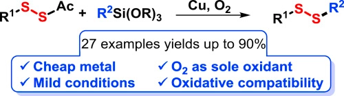 Nucleophilic disulfurating reagents for unsymmetrical disulfides construction via copper-catalyzed oxidative cross coupling