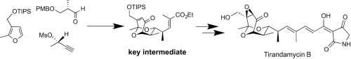 Formal synthesis of tirandamycin B