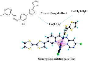 Tetrathiafulvalene based electroactive ligands and complexes: Synthesis, crystal structures and antifungal activity
