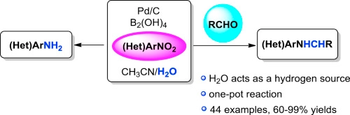 Water as a hydrogen source in palladium-catalyzed reduction and reductive amination of nitroarenes mediated by diboronic acid