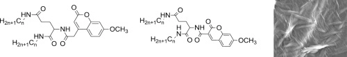 Design and properties of glutamic acid-based coumarin derivatives as organogelators