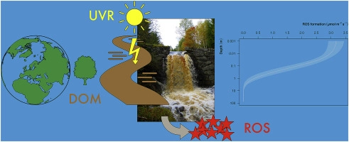 Modelling ROS formation in boreal lakes from interactions between dissolved organic matter and absorbed solar photon flux