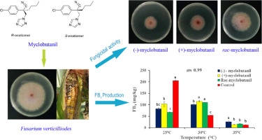 Selective effect of myclobutanil enantiomers on fungicidal activity and fumonisin production by Fusarium verticillioides under different environmental conditions