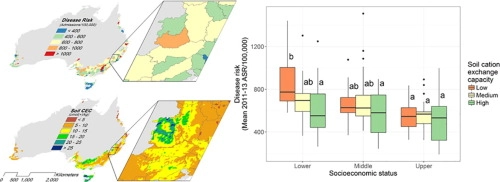 Ambient soil cation exchange capacity inversely associates with infectious and parasitic disease risk in regional Australia