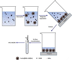 Application of Fe3O4@MIL-100 (Fe) core-shell magnetic microspheres for evaluating the sorption of organophosphate esters to dissolved organic matter (DOM)