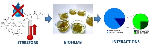 Multistressor effects on river biofilms under global change conditions