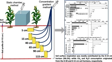 Depth-dependent greenhouse gas production and consumption in an upland cropping system in northern China