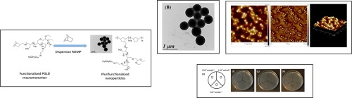 pH-Triggered release of an antifungal agent from polyglycidol-based nanoparticles against fuel fungus H. resinae