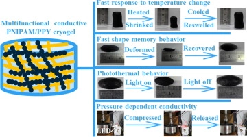 Rapid thermal responsive conductive hybrid cryogels with shape memory properties, photothermal properties and pressure dependent conductivity