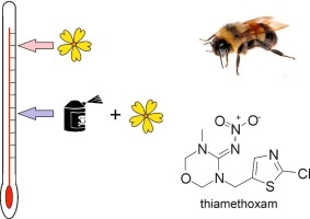 The effect of dietary neonicotinoid pesticides on non-flight thermogenesis in worker bumble bees (Bombus terrestris)
