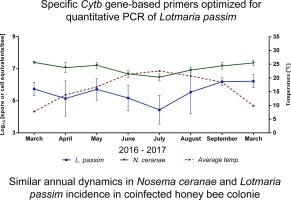 Quantitative PCR assessment of Lotmaria passim in Apis mellifera colonies co-infected naturally with Nosema ceranae