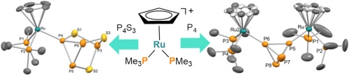 Influence of highly basic phosphine ligand on the reactivity and hydrolysis of P4 and P4S3 supported by ruthenium fragments