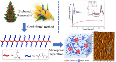 Fully biobased thermoplastic elastomers: Synthesis of highly branched linear comb poly(β-myrcene)-graft-poly(l-lactide) copolymers with tunable mechanical properties