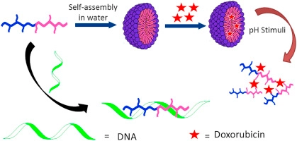 RAFT derived fatty acid based stimuli responsive fluorescent block copolymers as DNA sensor and cargo delivery agent