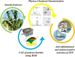 Optimized extraction of pectin-like polysaccharide from Suaeda fruticosa leaves: Characterization, antioxidant, anti-inflammatory and analgesic activities
