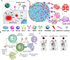 Multifunctional nanoparticles for cancer immunotherapy: A groundbreaking approach for reprogramming malfunctioned tumor environment