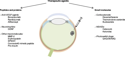 Microspheres as intraocular therapeutic tools in chronic diseases of the optic nerve and retina