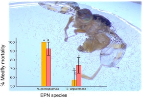 Surveying and screening South African entomopathogenic nematodes for the control of the Mediterranean fruit fly, Ceratitis capitata (Wiedemann)