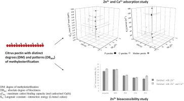 Interactions between citrus pectin and Zn2+ or Ca2+ and associated in vitro Zn2+ bioaccessibility as affected by degree of methylesterification and blockiness