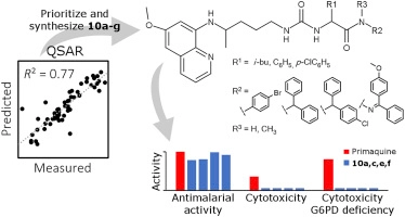 Machine learning prioritizes synthesis of primaquine ureidoamides with high antimalarial activity and attenuated cytotoxicity