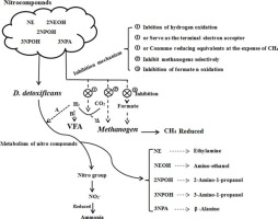 Nitrocompounds as potential methanogenic inhibitors in ruminant animals: A review