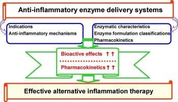 Novel enzyme formulations for improved pharmacokinetic properties and anti-inflammatory efficacies