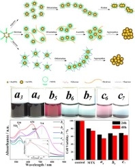 Induction of Au-methotrexate conjugates by sugar molecules: production, assembly mechanism, and bioassay studies