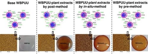 Development of waterborne polyurethane-ureas added with plant extracts: Study of different incorporation routes and their influence on particle size, thermal, mechanical and antibacterial properties