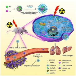 FePt-Cys nanoparticles induce ROS-dependent cell toxicity, and enhance chemo-radiation sensitivity of NSCLC cells in vivo and in vitro