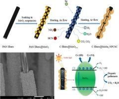 Highly efficient solar-driven photocatalytic degradation on environmental pollutants over a novel C fibers@MoSe2 nanoplates core-shell composite