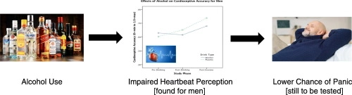 The effects of alcohol on heartbeat perception: Implications for anxiety