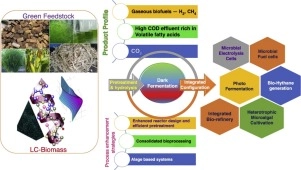 Biomass based hydrogen production by dark fermentation—recent trends and opportunities for greener processes