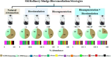 Biostimulation and bioaugmentation of native microbial community accelerated bioremediation of oil refinery sludge