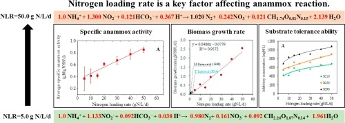 Stoichiometric variation and loading capacity of a high-loading anammox attached film expanded bed (AAEEB) reactor