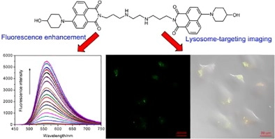 Lysosomes-targeting imaging and anticancer properties of novel bis-naphthalimide derivatives