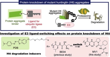 Degradation of huntingtin mediated by a hybrid molecule composed of IAP antagonist linked to phenyldiazenyl benzothiazole derivative