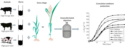 Antagonistic effects on biogas and methane output when co-digesting cattle and pig slurries with grass silage in in vitro batch anaerobic digestion