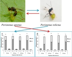 Interspecific competition between Peristenus spretus and Peristenus relictus (Hymenoptera: Braconidae), larval parasitoids of Apolygus lucorum (Hemiptera: Miridae)