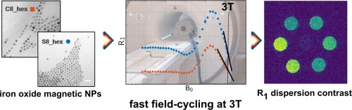 R1 dispersion contrast at high field with fast field-cycling MRI