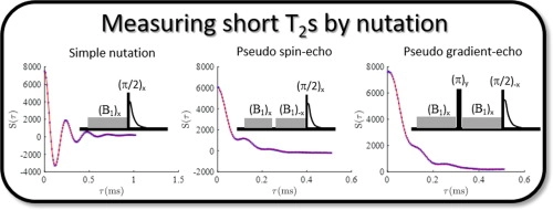 Measurement of short transverse relaxation times by pseudo-echo nutation experiments