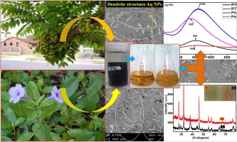 Surface active gold nanoparticles biosynthesis by new approach for bionanocatalytic activity